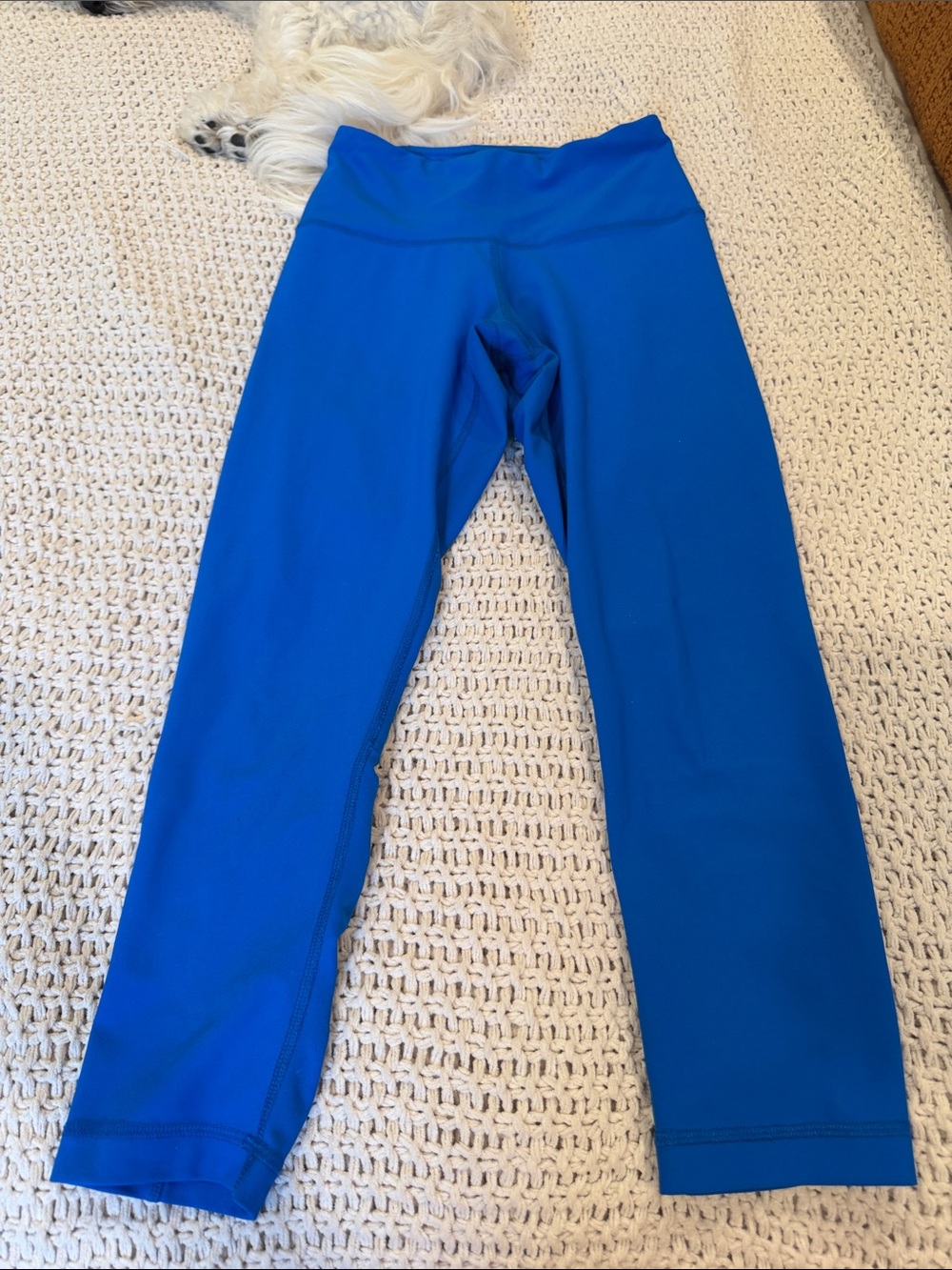 Cobalt blue leggings/ size XS